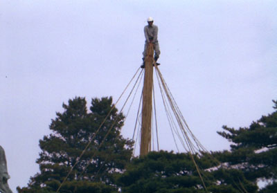 北陸 兼六公園 雪吊り